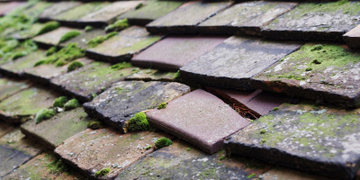 Elmers End roof repair costs